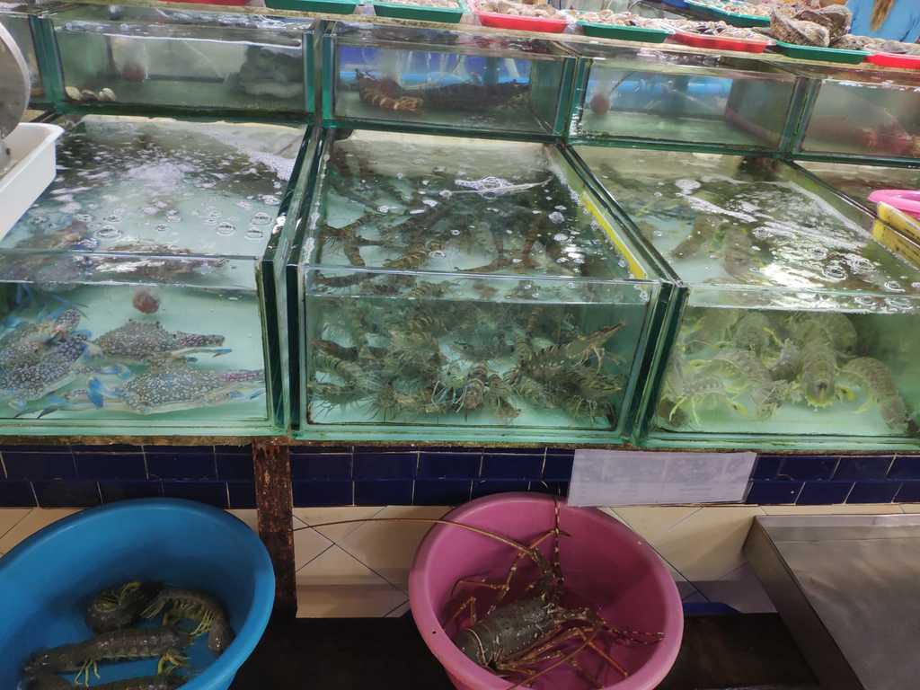 WhatsApp Image 2020-12-09 at 2.18.08 PM (4).jpeg