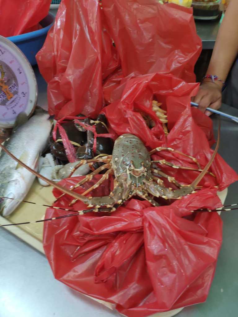 WhatsApp Image 2020-12-09 at 2.18.08 PM (1).jpeg