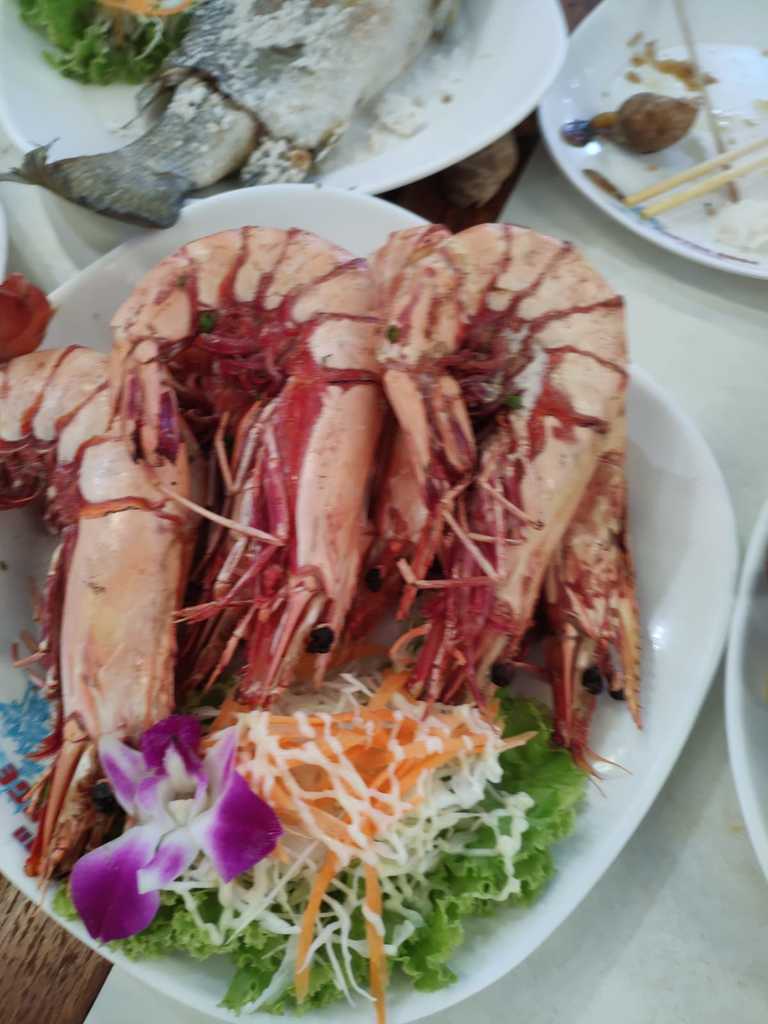 WhatsApp Image 2020-12-09 at 2.18.52 PM.jpeg