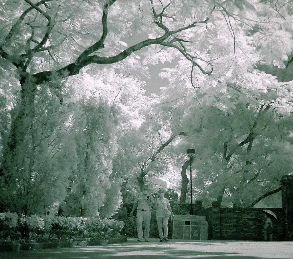 Photo editing_Cloud20200902_1_1.jpg