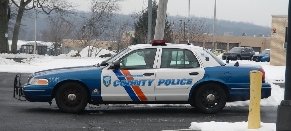 IMG NYWCPD1411.jpg