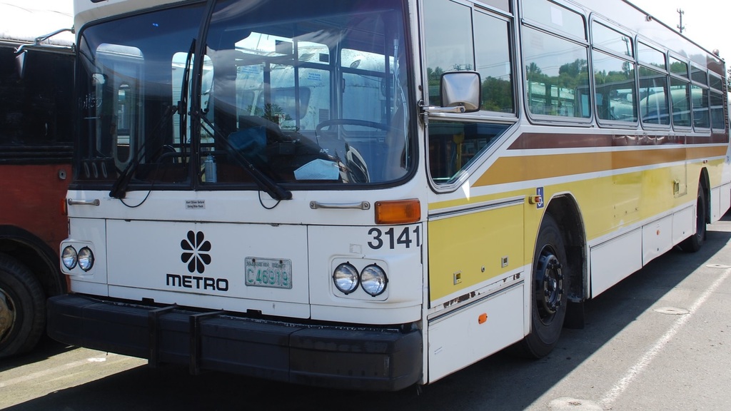IMG SM3141.jpg