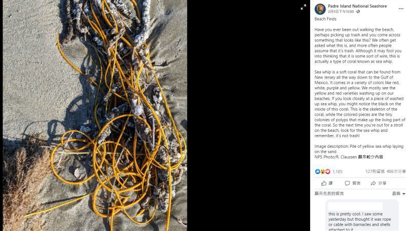 ▲帕德里島國家公園發文與民眾分享海鞭的特色。.jpg