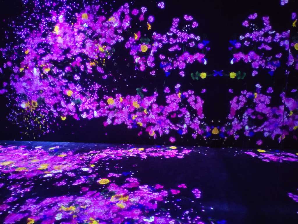 WhatsApp Image 2021-02-11 at 9.39.13 AM (1).jpeg