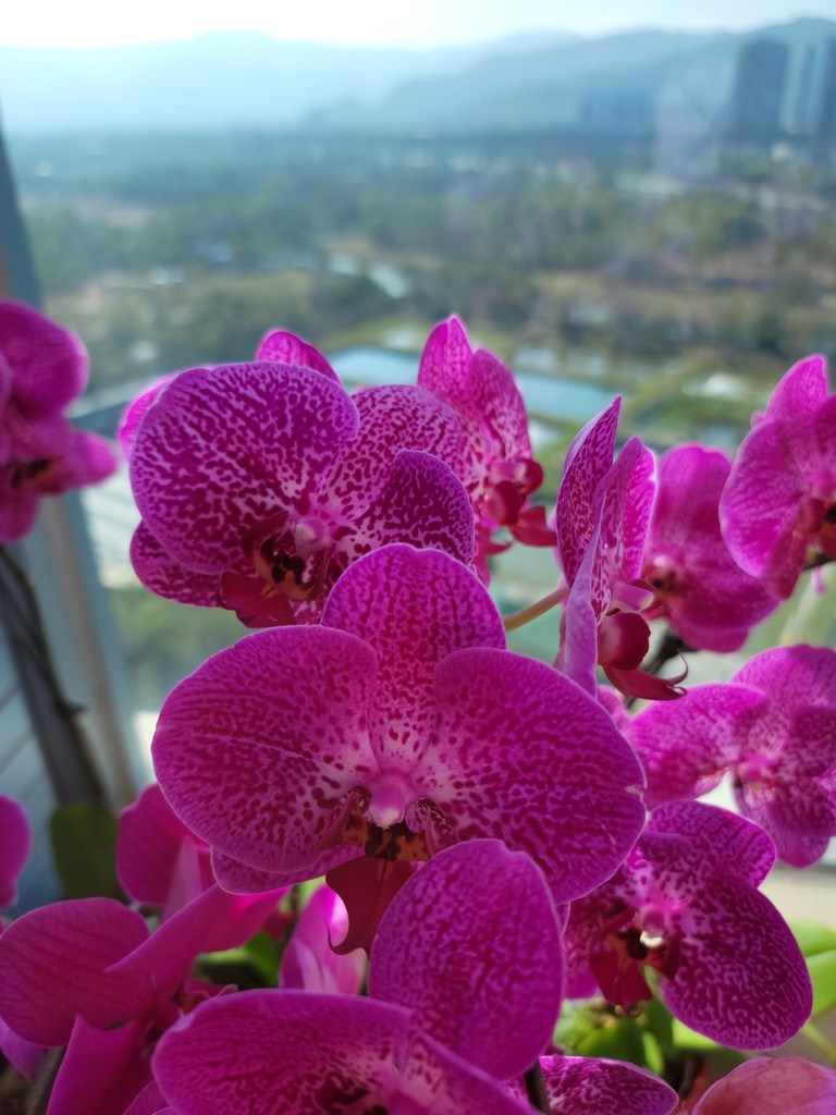 20210212_100710 (1).jpg