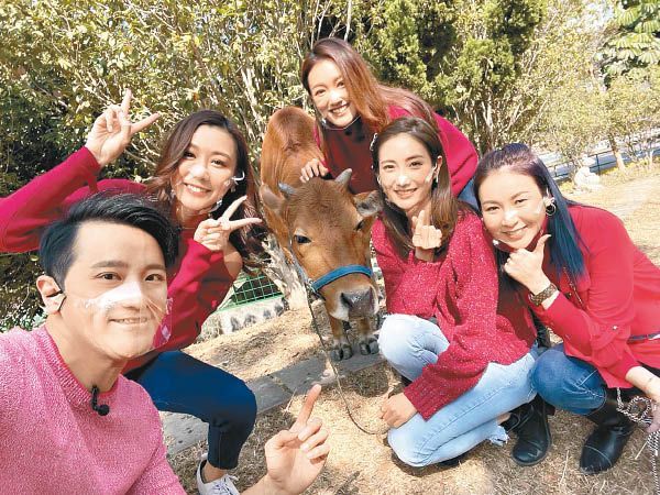 莊思敏（右起）、蔡嘉欣、張寶兒、陳詩欣與許文軒，親親牛牛過肥年。.jpg.jpg