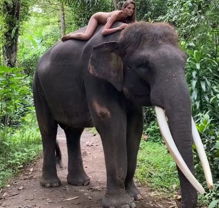 俄羅斯美少女網紅Alesya Kafelnikova竟然全裸騎象。.jpg