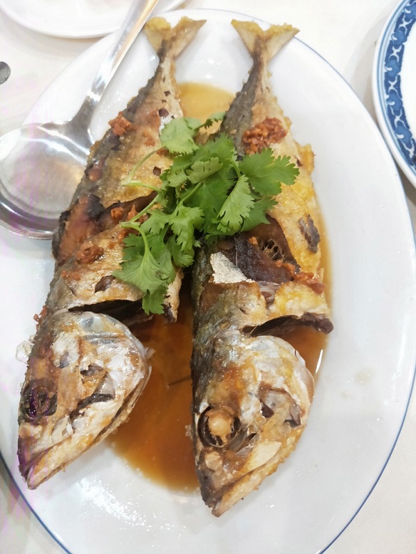 0828439p1ptappdzgu51qf 800.jpg