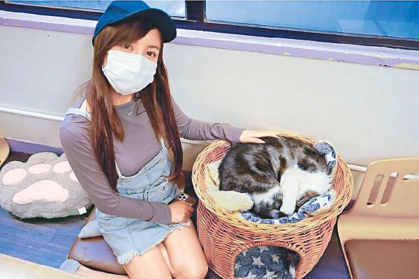 陳嘉倩是愛貓之人。.jpg