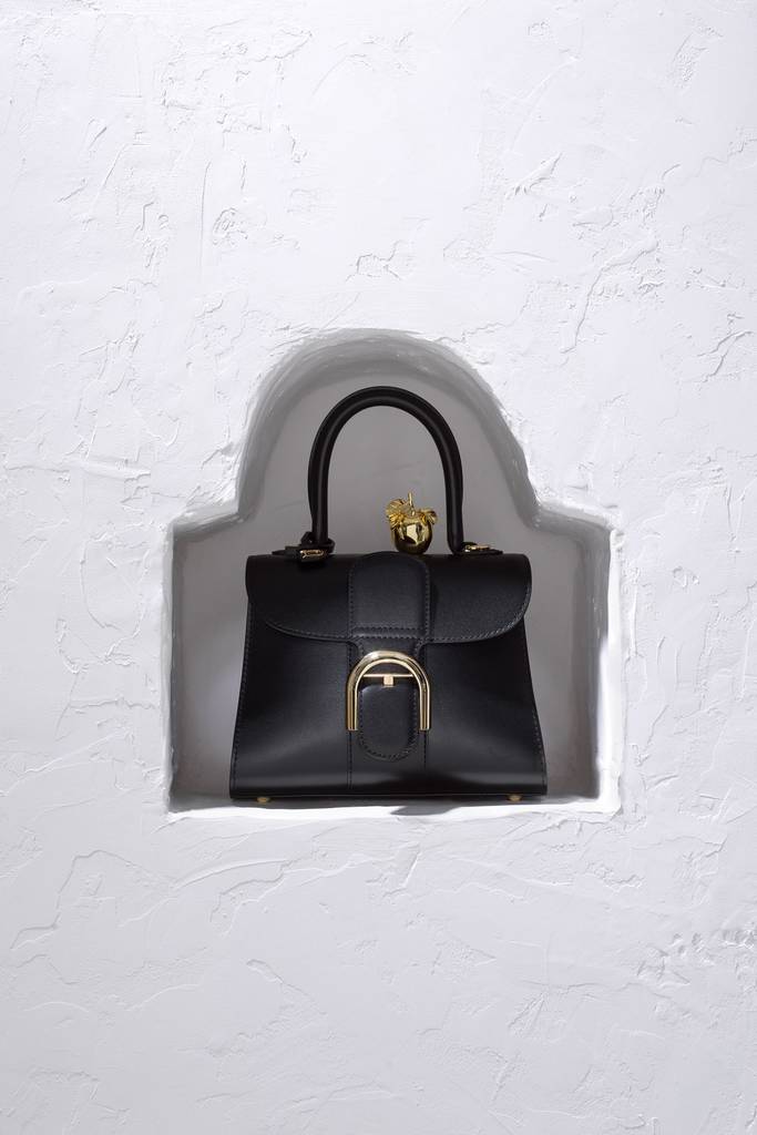 DELVAUX01.jpg