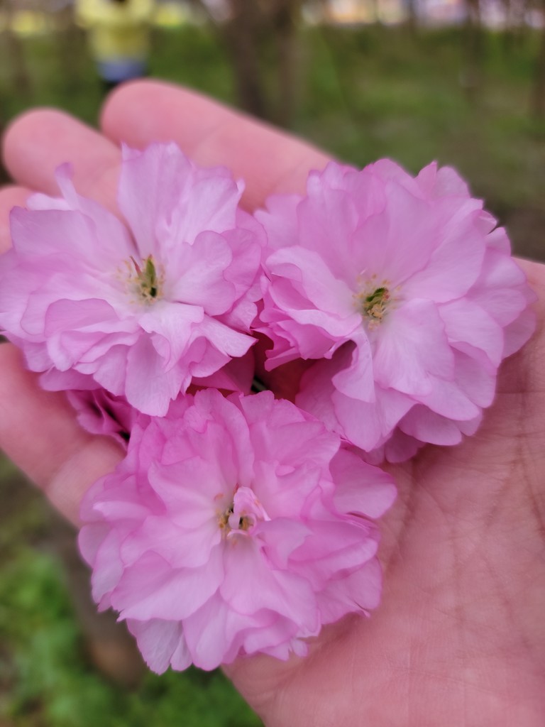 20210321_154040 (1).jpg