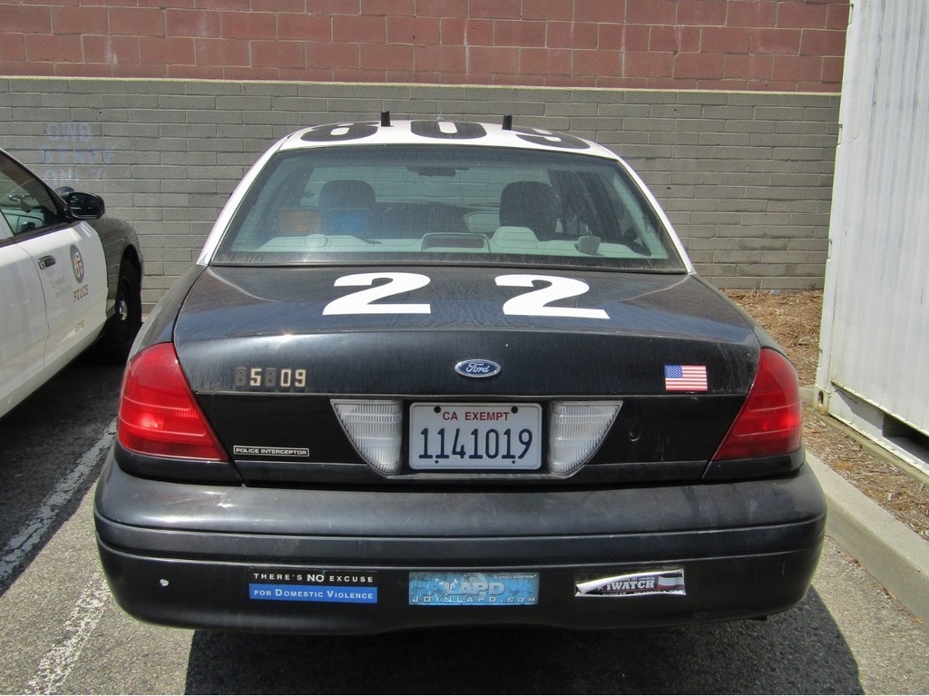 DSC_6573747.jpg