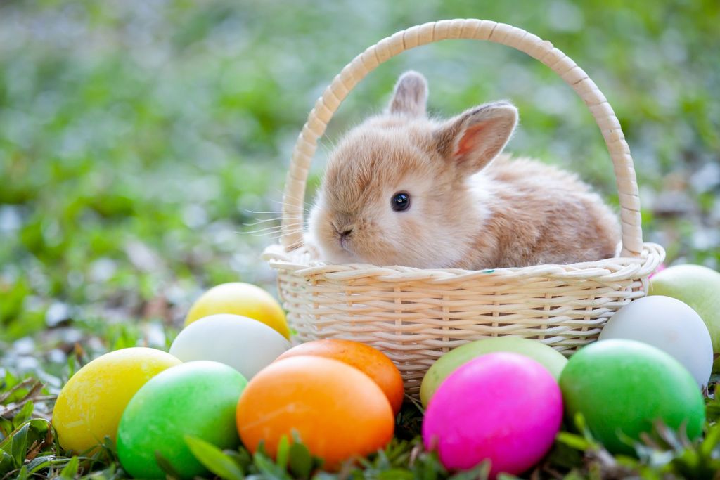 easter-bunny-origins-1581358909.jpg