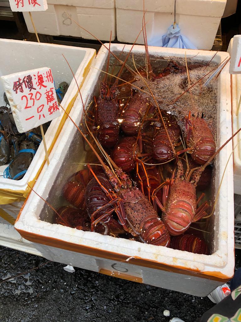 IMG-20210403-WA0001.jpg