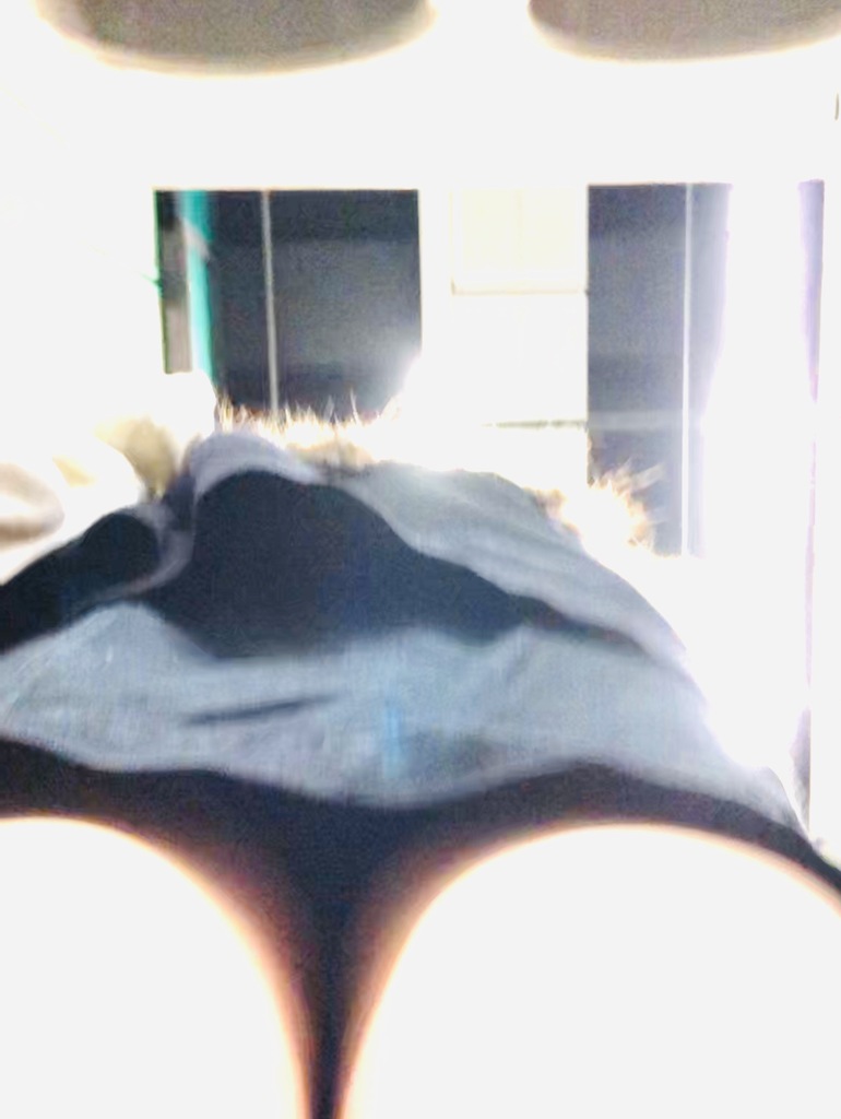 B04B5910-9650-43B1-A798-2694DAECEC8D.jpeg
