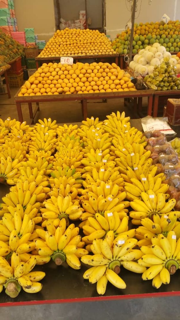 WhatsApp Image 2021-04-22 at 2.16.36 PM.jpeg