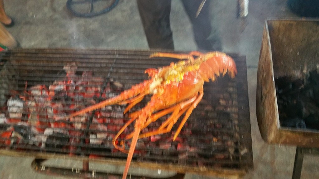 WhatsApp Image 2021-04-22 at 3.19.19 PM.jpeg