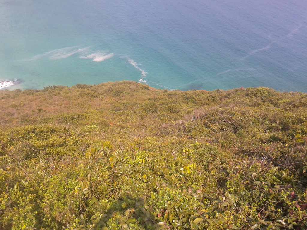 2014-03-23 14.44.03.jpg