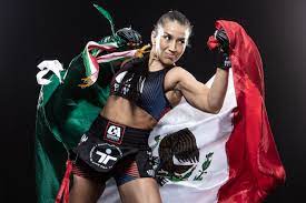 wmma.jpg