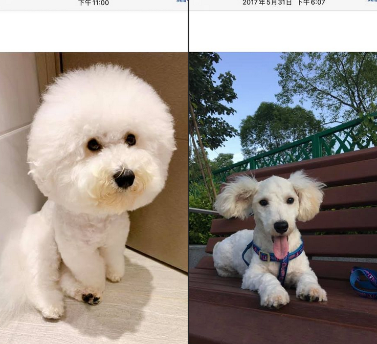 螢幕擷取畫面 2021-05-19 011757.png