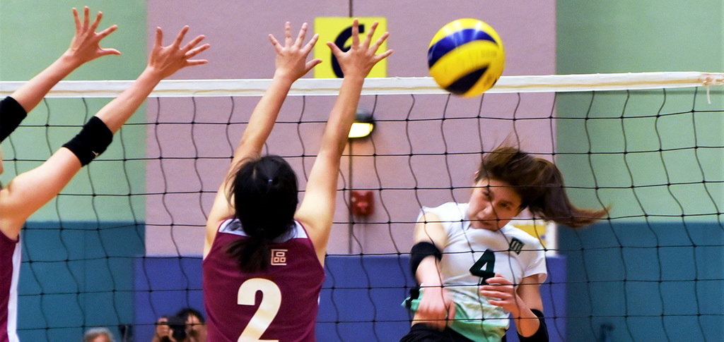 banner_volleyball.jpg