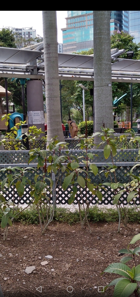 把公園當沙灘了