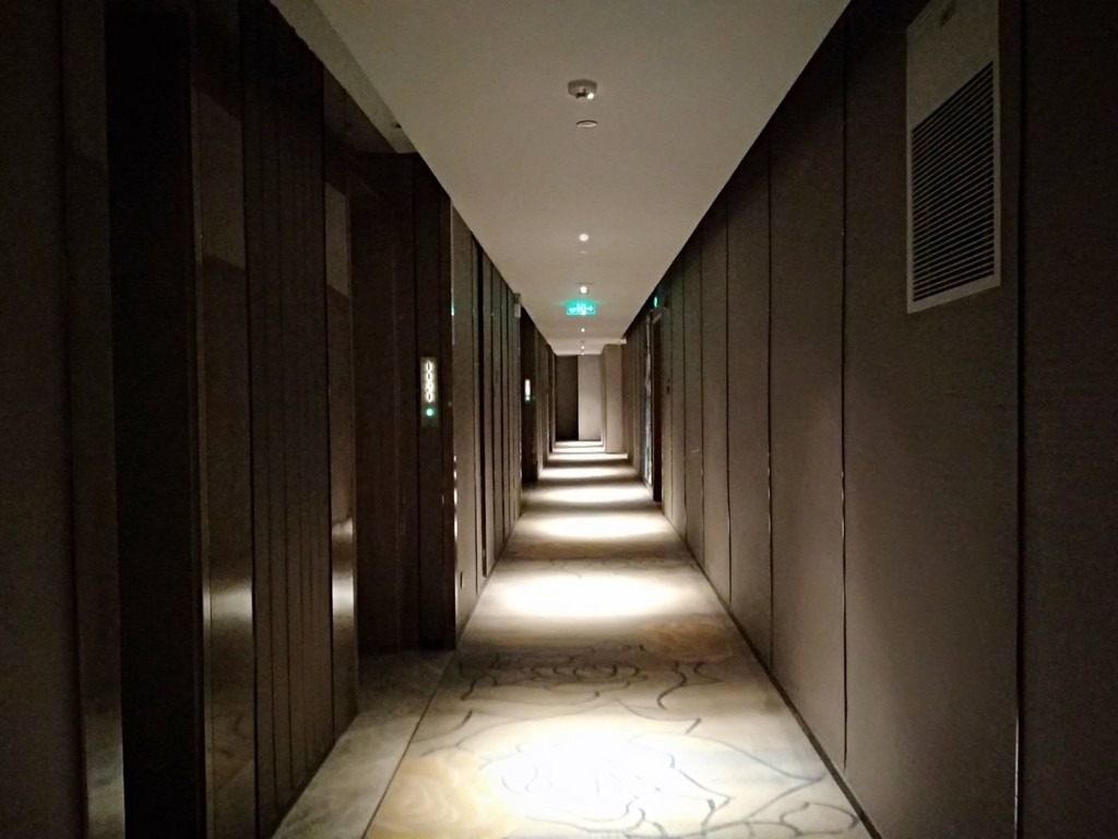 IMG_20190529_022607 [1600x1200].jpg