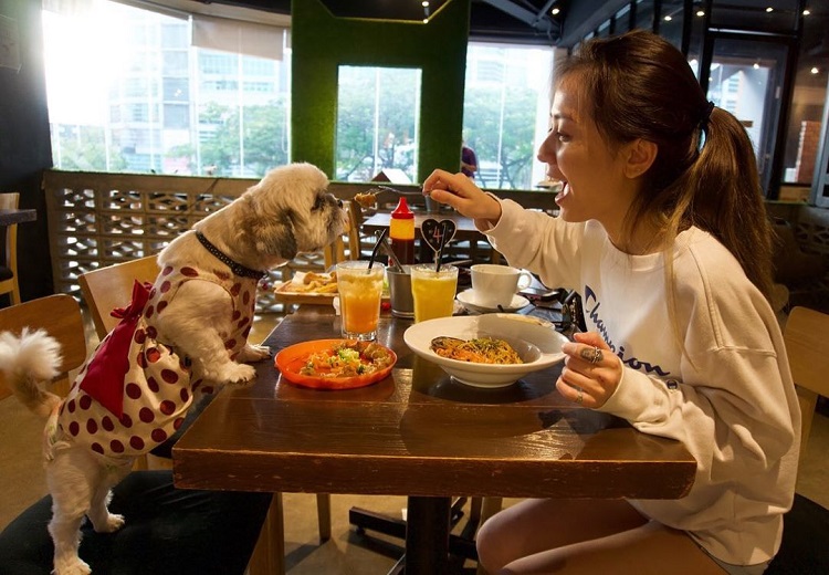 bow-wow-cafe-@cherylleoo-puchong-food-cafe-lokalocal 750.jpg