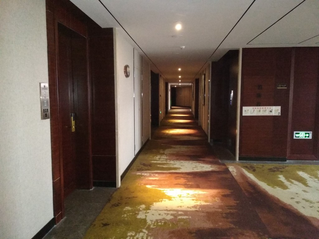 IMG_20190531_065850 [1600x1200].jpg