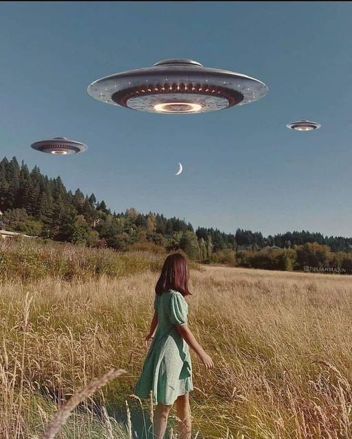 206211942_4343410595683102_2994341408385282705_n.jpg