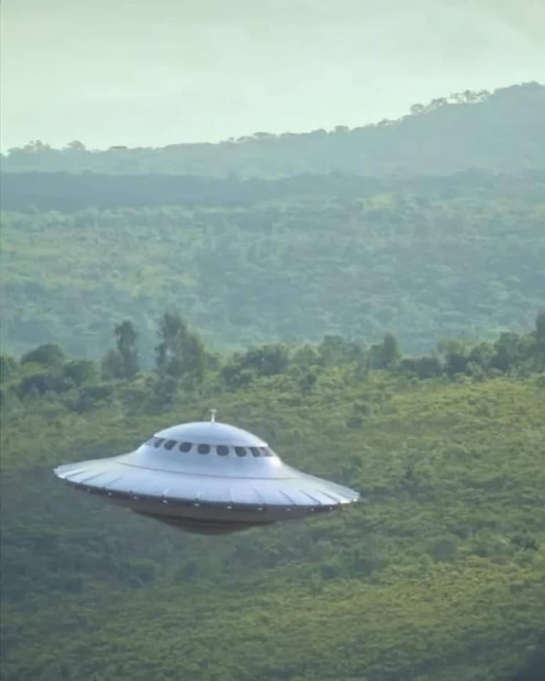 202556425_934701527371778_2761660917821501069_n.jpg