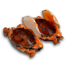 下載檔案 (10).jpeg