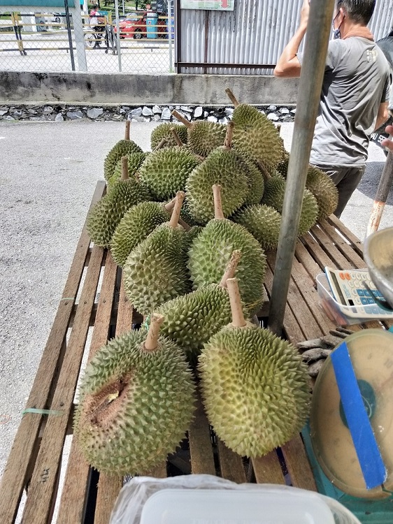 082642w9vylmm4i8luvsvx 750.jpg