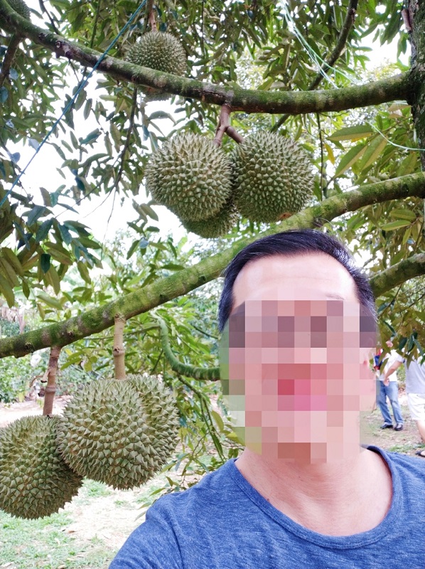 1130161j74yvesrrf8r8vf 800.jpg