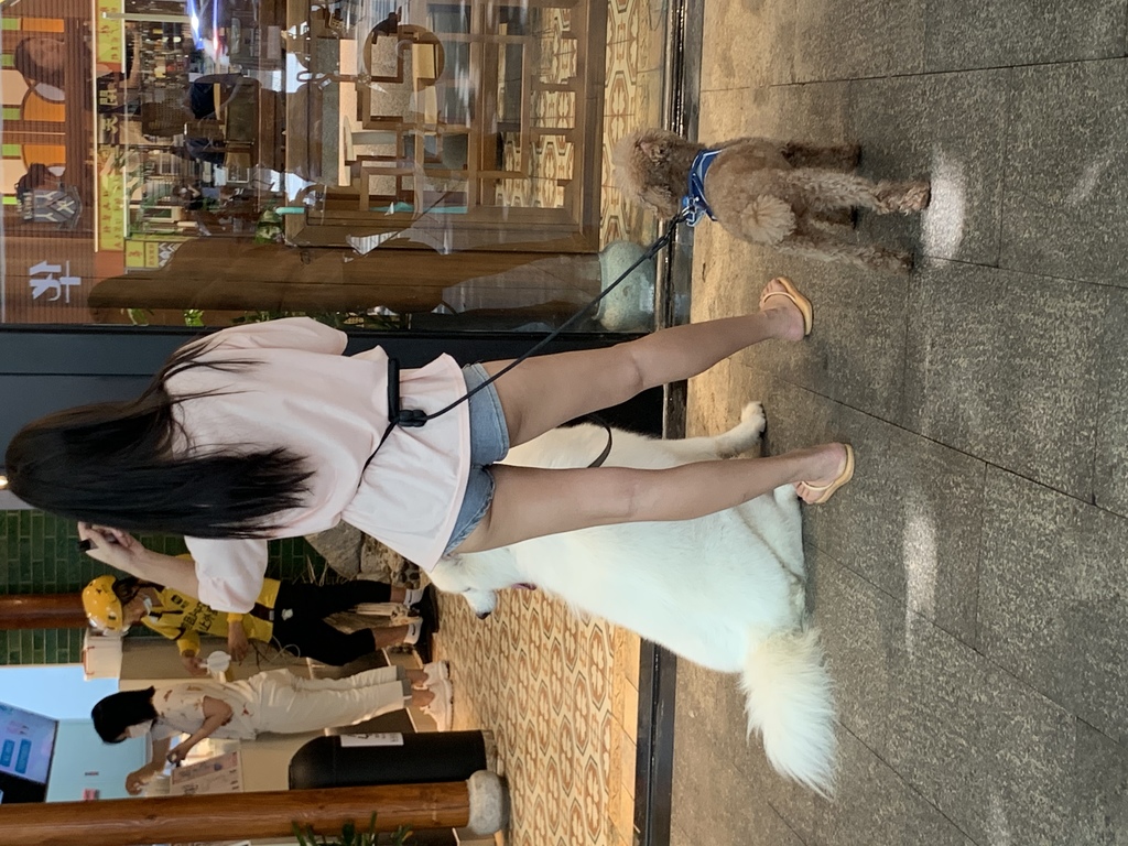 212E2CC2-8F5E-4203-A979-C22FA7976607.jpeg