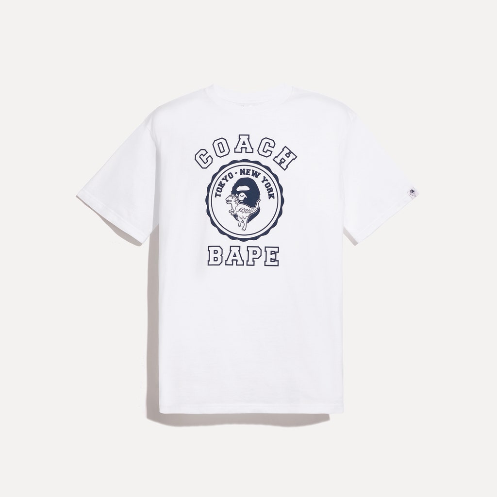 BAPE26.jpg