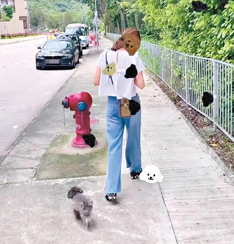 2 蔡嘉欣任由愛犬在馬路邊隨意行，被指好易出事。.jpg