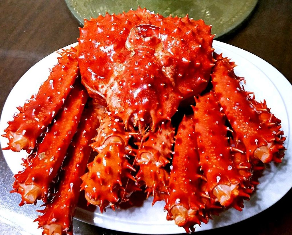 皇帝蟹.jpg