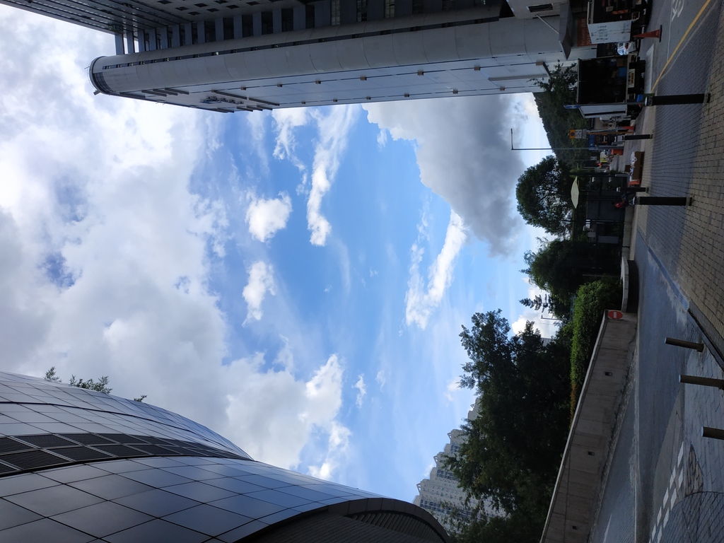 IMG_20210825_153847.jpg