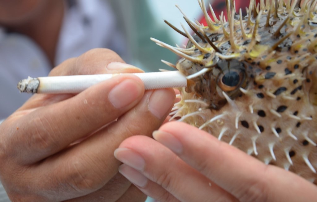 DSC_2763 [1600x1200].JPG