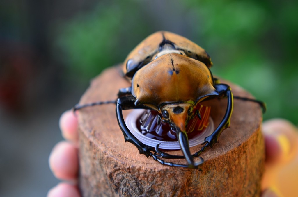 DSC_9574 [1600x1200].JPG