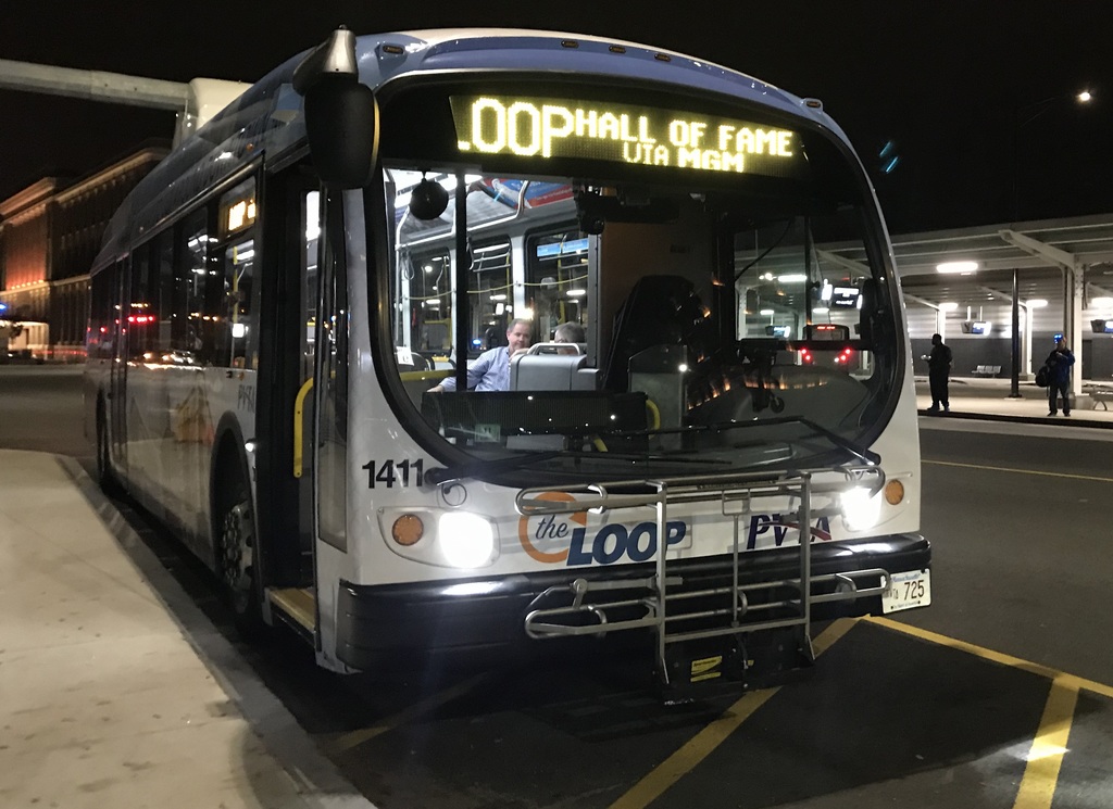 3023506.jpg