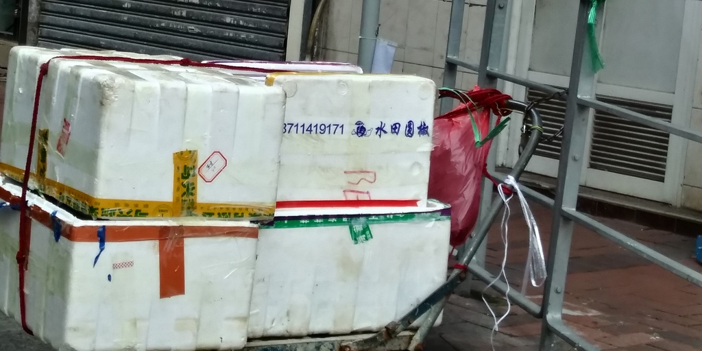 相片1045.jpg