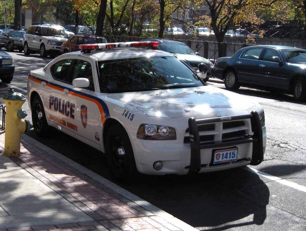 4026931658a.jpg