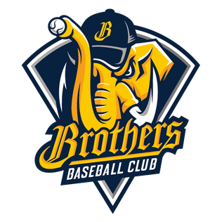 Cpbl-stats-chinatrust-brothers.png