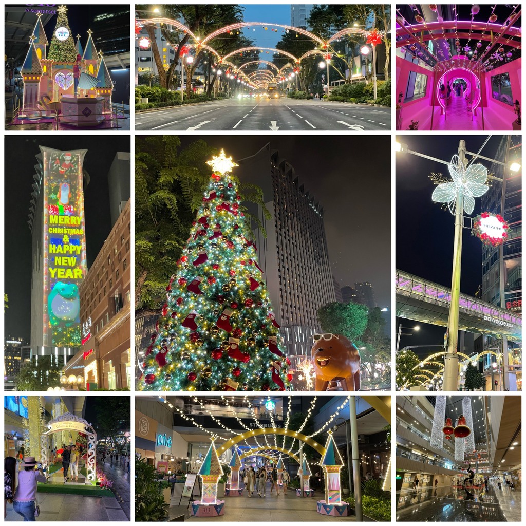 新加坡 聖誕樹亮燈.jpg