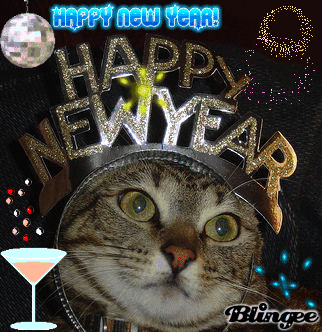 Happy-New-Year-ktchenor-41832440-322-332.gif