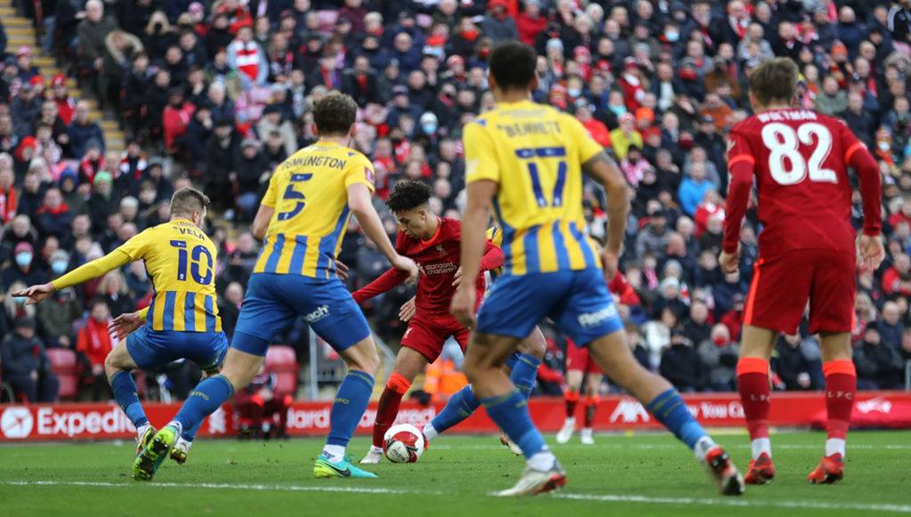 rmI3cgxxweml3oLVHvyYMxLb-THfOYRKc7m5yXO5uck.jpeg