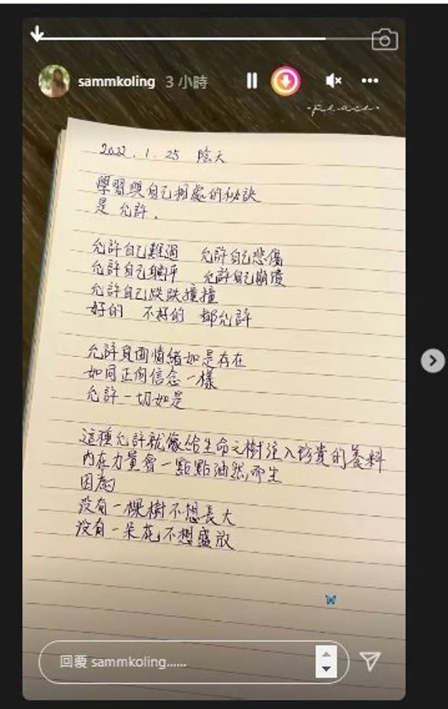 2 高海寧寫日記，字裏行間似乎有玄機。.jpg