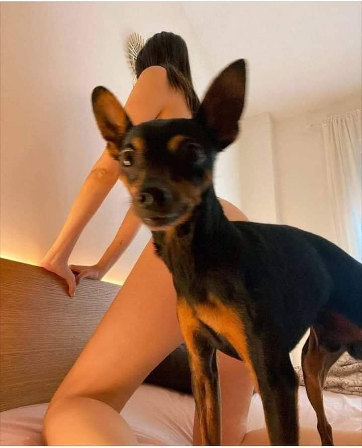 WhatsApp Image 2022-02-14 at 10.10.50.jpeg